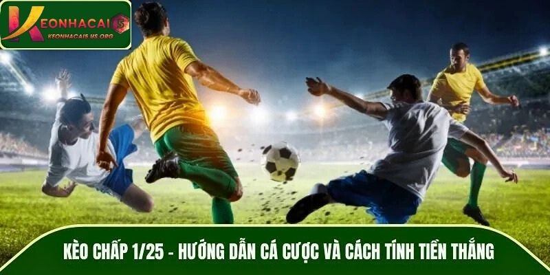 Kèo Chấp 1/25 - Hướng Dẫn Cá Cược Và Cách Tính Tiền Thắng