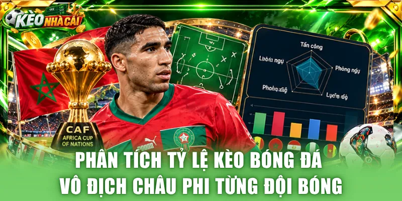 Phân tích tỷ lệ kèo bóng đá vô địch châu Phi từng đội bóng